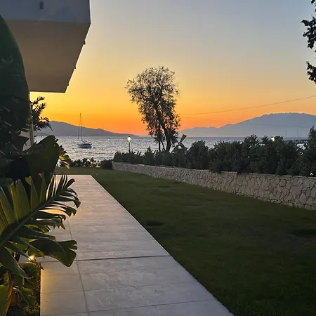 Ayia Alykanas (Zakynthos)